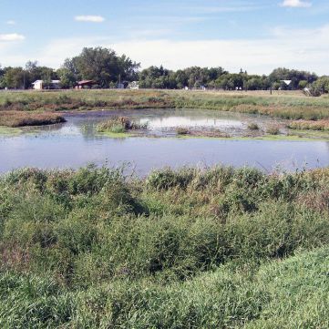 Halliday Lagoon